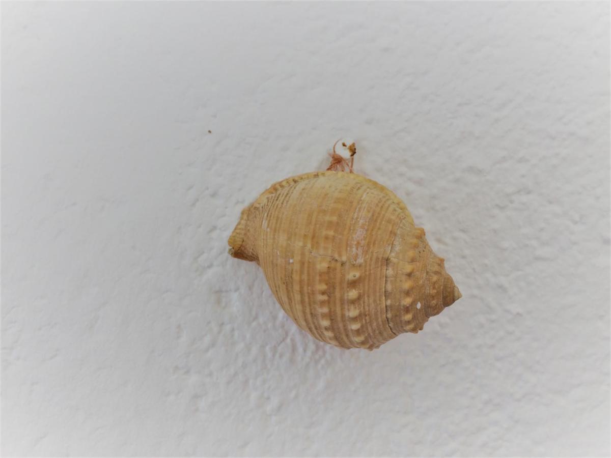 Apartmán Apartman Turkesici Jablanac Exteriér fotografie