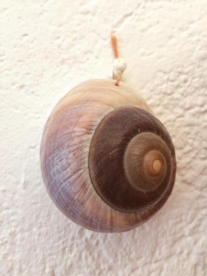 Apartmán Apartman Turkesici Jablanac Exteriér fotografie